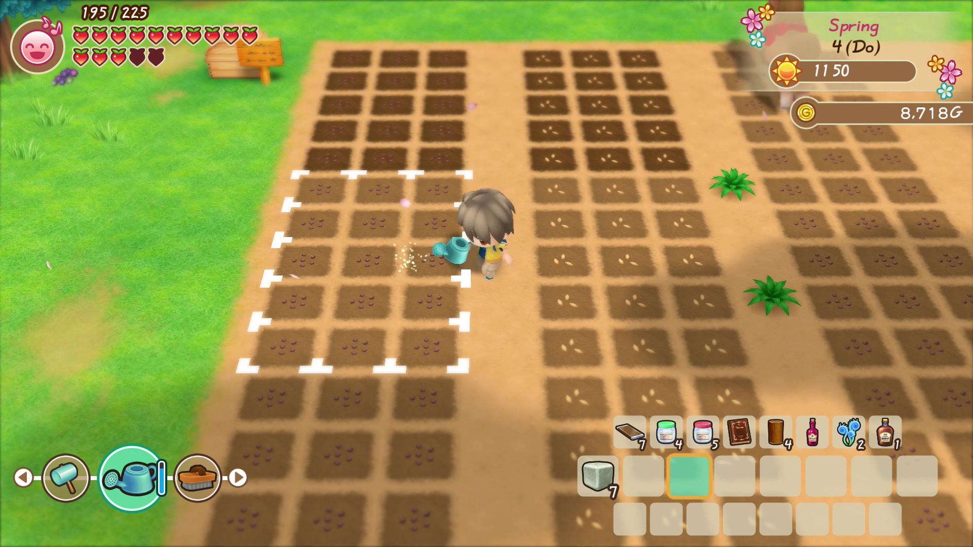 Story of Seasons: Friends of Mineral Town