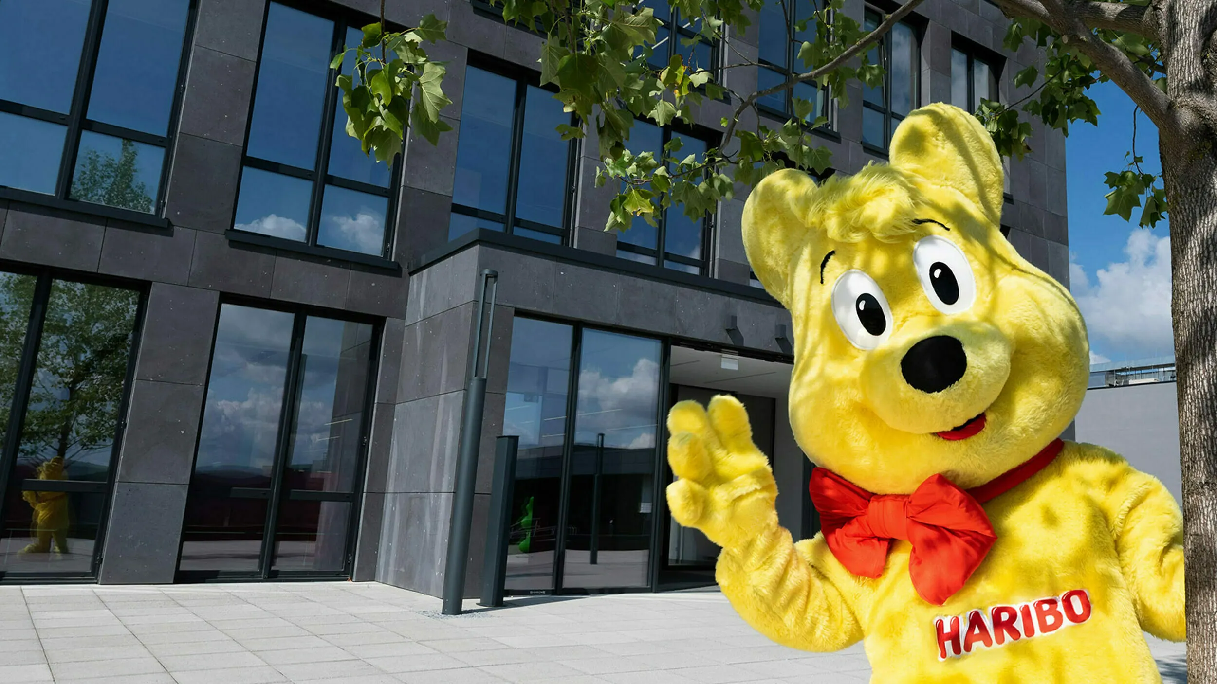 headquarter_grafschaft