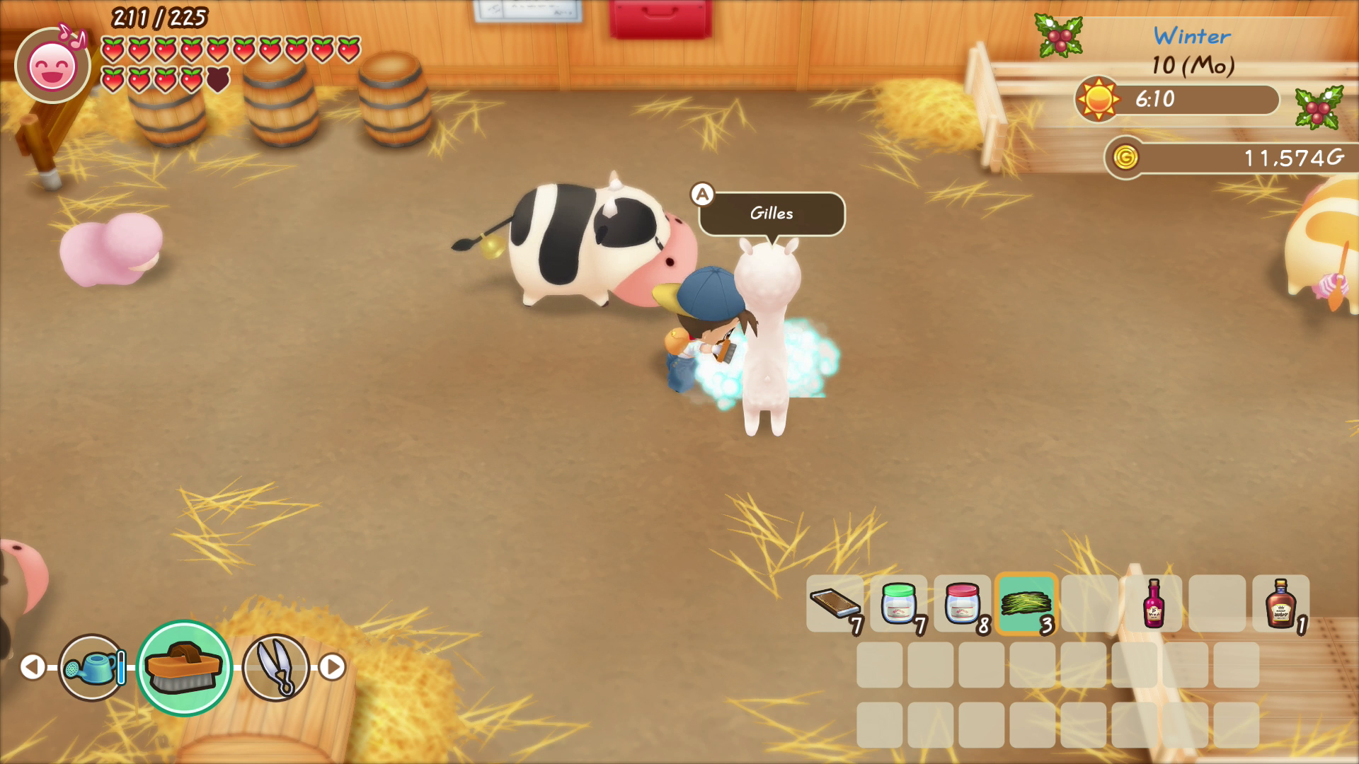 Story of Seasons: Friends of Mineral Town